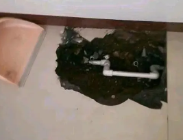 洛阳卫生间测漏水多少钱